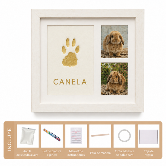 Cuadro de arcilla para mascotas